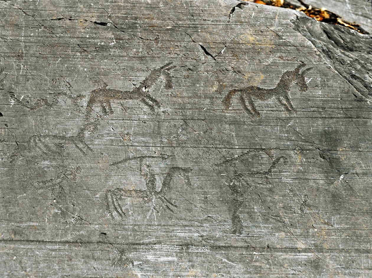 Prehistoria, cywilizacja Camunni, sztuka naskalna: nagrobek sceny polowania, myśliwy uderza włócznią. Okres między neolitem a epoką brązu. Capo di Ponte, Park Narodowy Naquane Rock Carvings, Valcamonica, Val Camonica, Włochy autorstwa Prehistoric Prehistoric