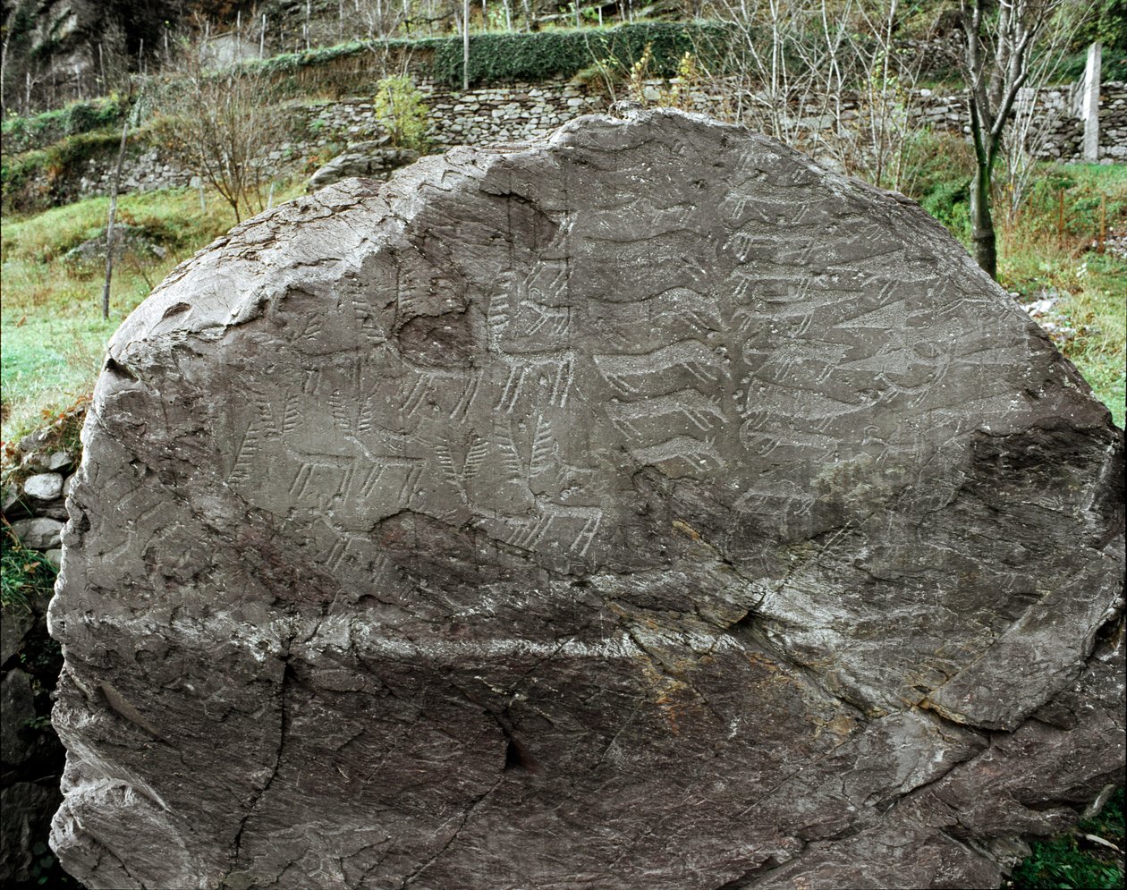 Prehistoria, sztuka naskalna: nagrobek przedstawiający jelenie, bydło i sztylety. Wiek miedzi. Okres eneolityczny (chalkolit). Roche nr. 1. Cemmo (Brescia) Narodowy Park Archeologiczny Głazów Cemmo, Włochy autorstwa Prehistoric Prehistoric