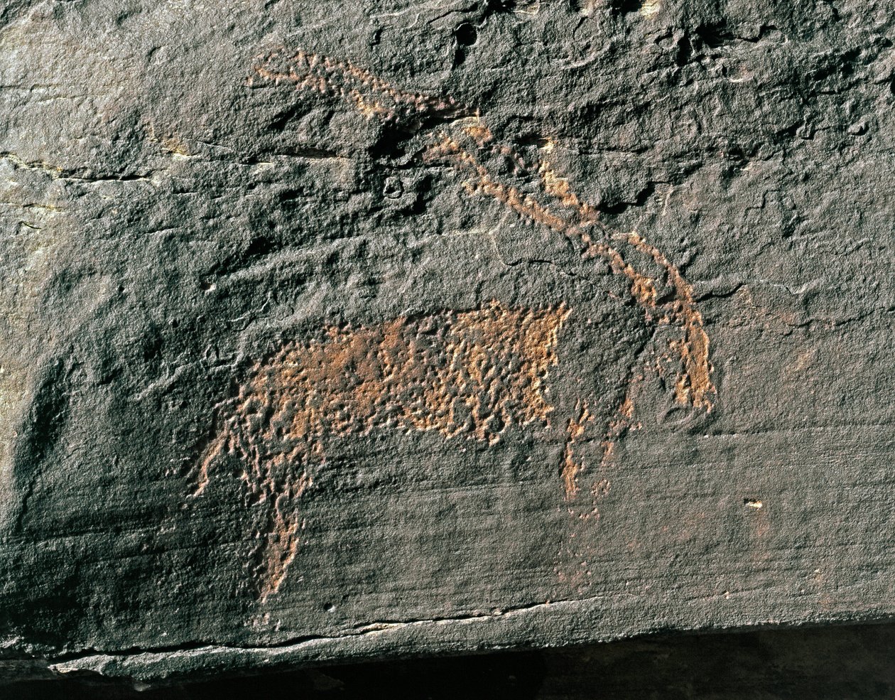 Prehistoria, sztuka naskalna: nagrobek przedstawiający antylopę. Epoka kamienia 5000-2000 p.n.e. Taghit, Haut plateau du Hoggar (Ahaggar), Algieria autorstwa Prehistoric Prehistoric