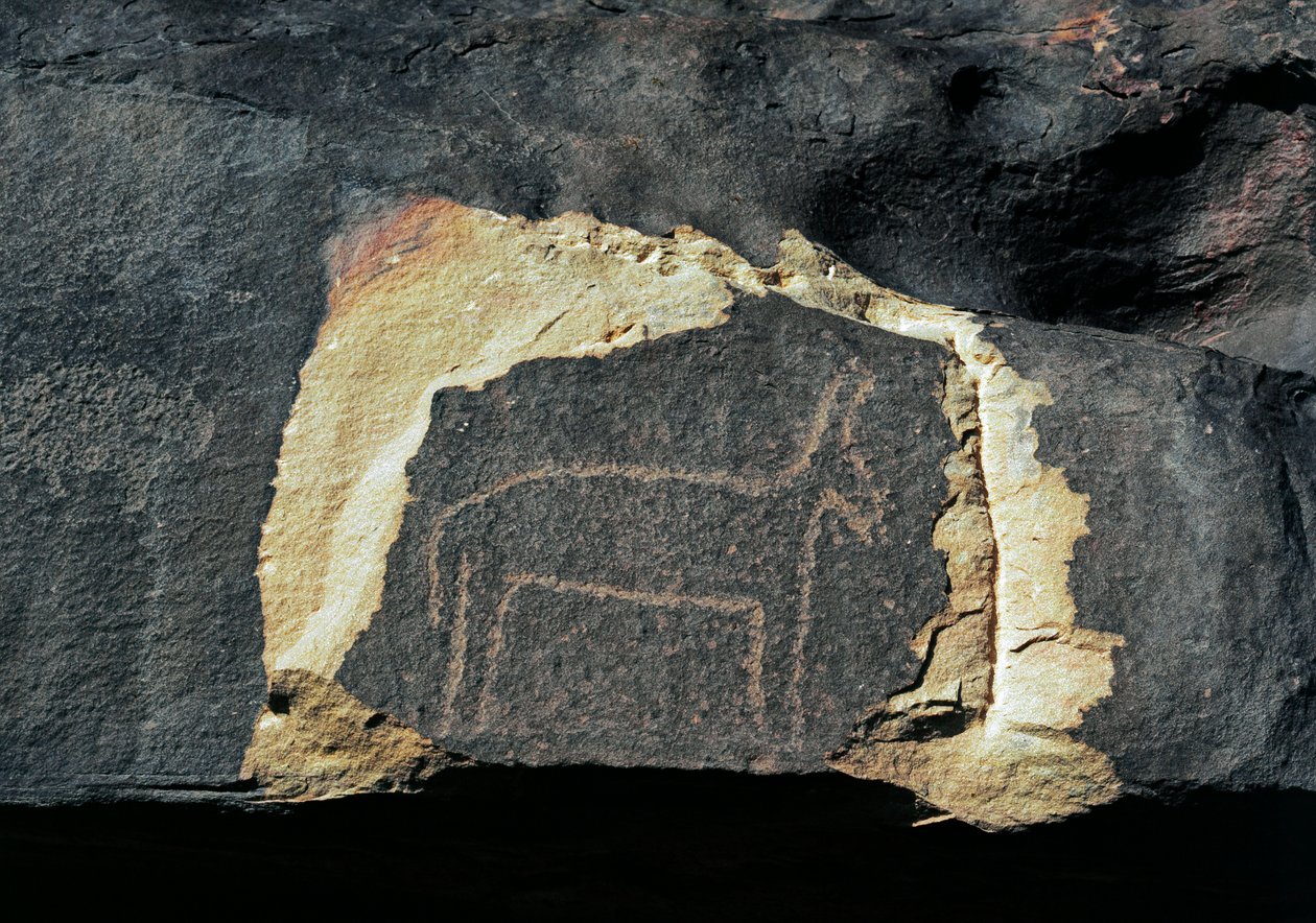 Prehistoria, sztuka naskalna: nagrobek przedstawiający antylopę. Epoka kamienia 5000-2000 p.n.e. Taghit, Haut plateau du Hoggar (Ahaggar), Algieria autorstwa Prehistoric Prehistoric