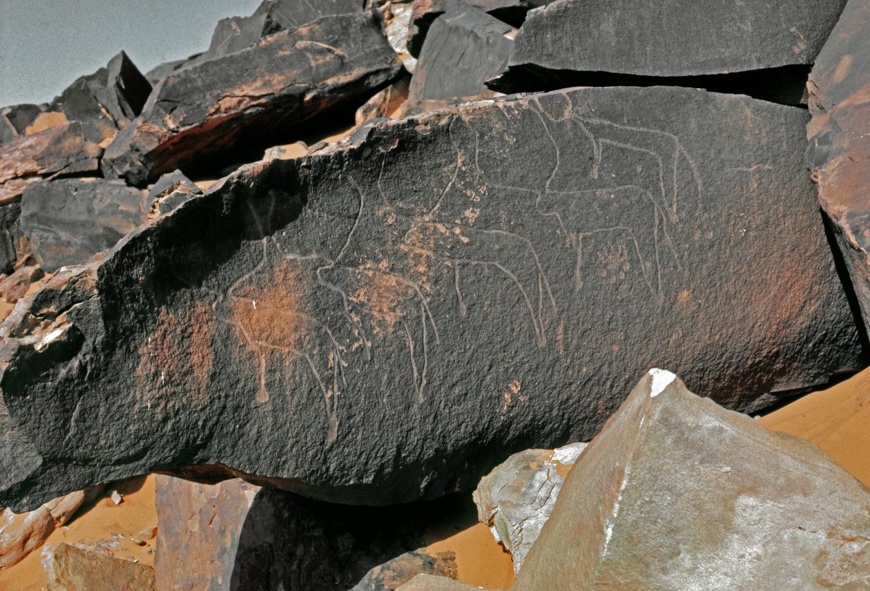 Prehistoria, sztuka naskalna: nagrobek przedstawiający bydło. Styl Tazina. Epoka kamienia 5000-2000 p.n.e. Taghit, Haut plateau du Hoggar (Ahaggar), Algieria autorstwa Prehistoric Prehistoric