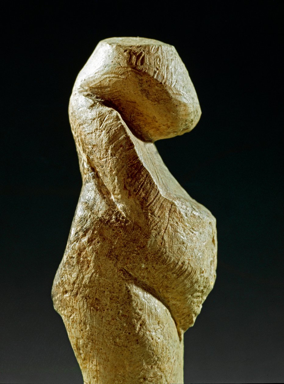 Prehistoria: pomnik grawetki z miejscowości Kostenki (obwód woroneski). 30000-25000 pne Górny paleolit, epoka kamienia. Sankt Petersburg, Muzeum Antropologiczne i Etnograficzne im. Piotra Wielkiego, Rosja autorstwa Prehistoric Prehistoric