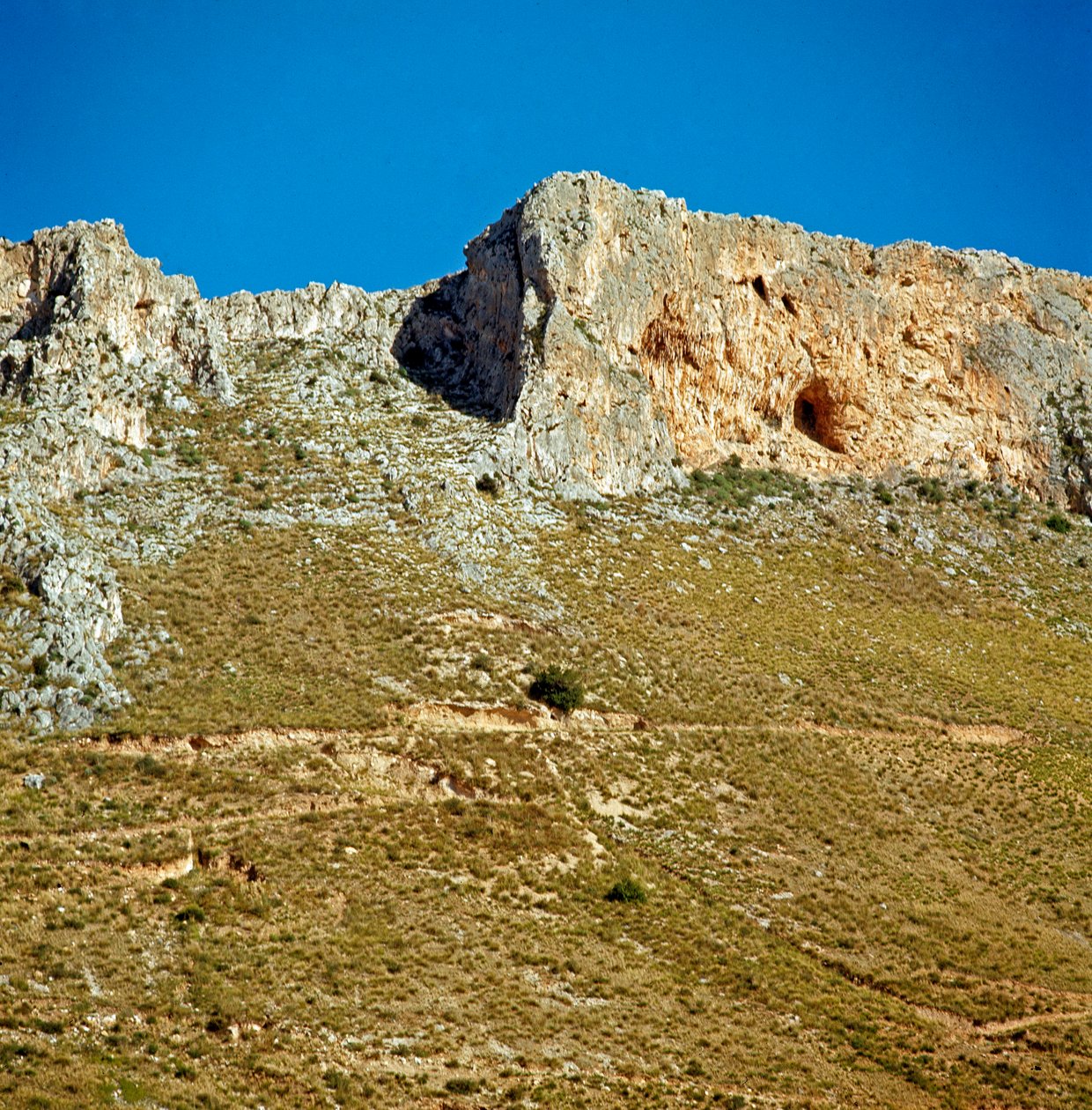 Prehistoria: kreta Monte Palmeto z jaskinią z okresu paleolitu. Monte Palmeto, Palermo (Palermo), Włochy autorstwa Prehistoric Prehistoric