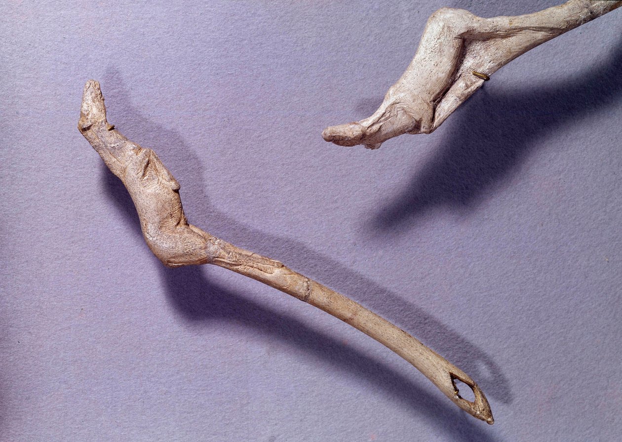 Prehistoria: dwa silniki odrzutowe z napisem „”do skaczącego konia”” wykonane z drewna renifera. Okres środkowego magdalena. Saint Germain en Laye, Muzeum Archeologii Narodowej autorstwa Prehistoric Prehistoric