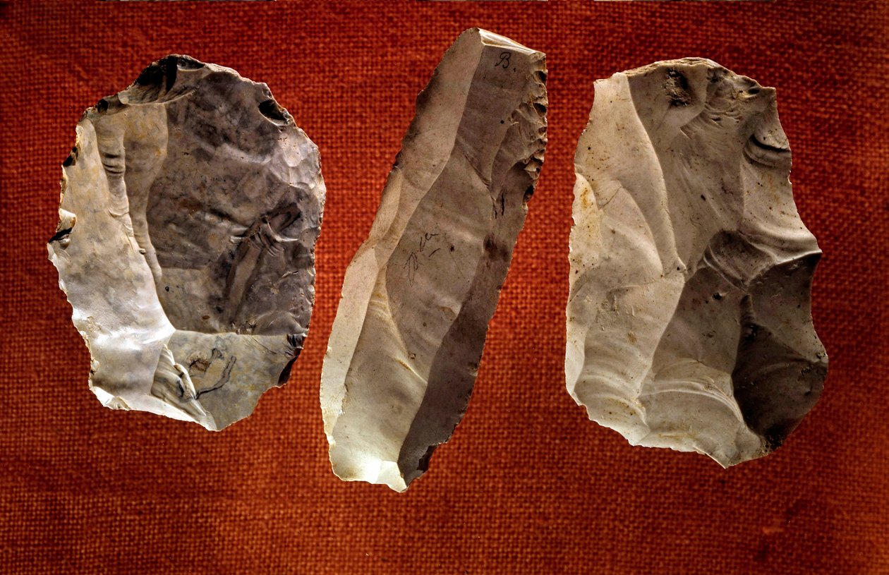 Prehistoria: niepolerowane rzeźbione topory. Epoka neolitu. Saint Germain en Laye, Muzeum Starożytności Narodowej autorstwa Prehistoric Prehistoric