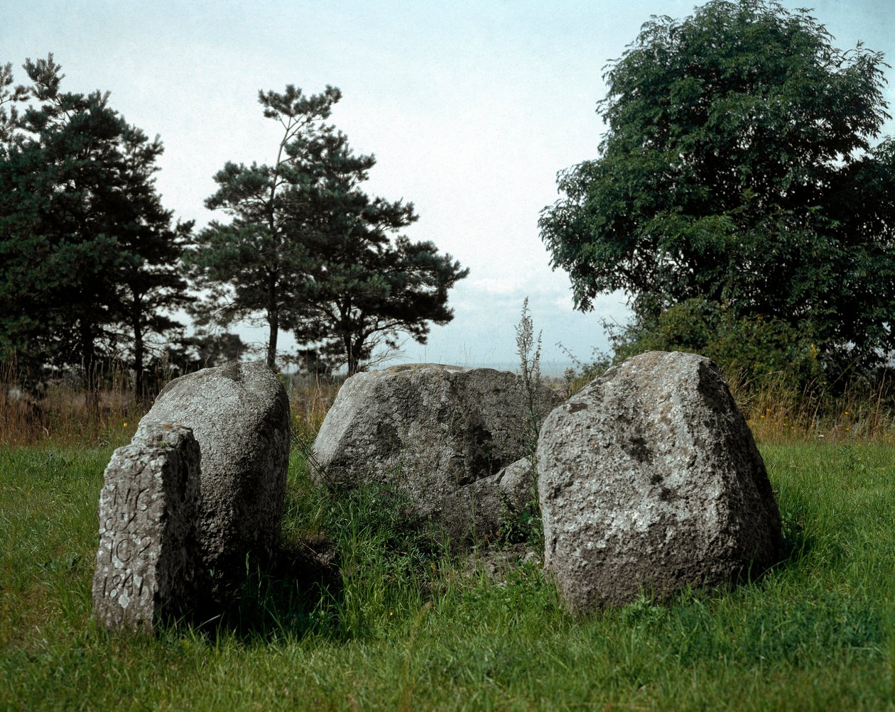 Prehistoria: widok na dolmen Chianca z korytarzem wejściowym. Epoka kamienia, neolit. VI-III wiek p.n.e. Bisceglie, Apulia, Włochy autorstwa Prehistoric Prehistoric