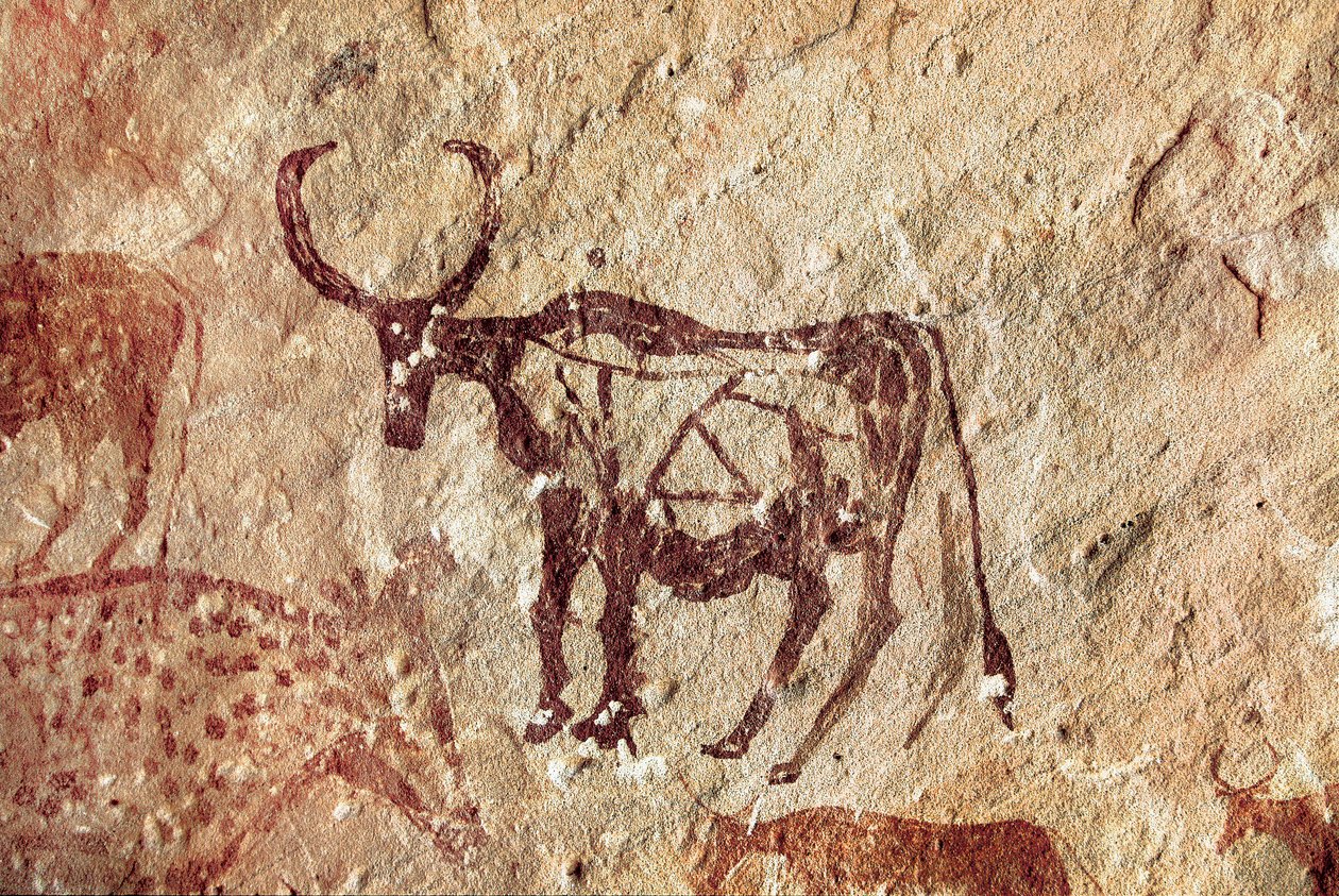 Malarstwo naskalne: przedstawienie jeleniowatego. Jaskinia Tadrart Acacus Libia autorstwa Prehistoric Prehistoric