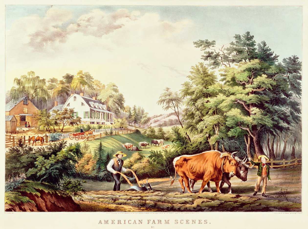 Czapla purpurowa, z „Ilustracji brytyjskiej ornitologii” autorstwa Prideaux John Selby