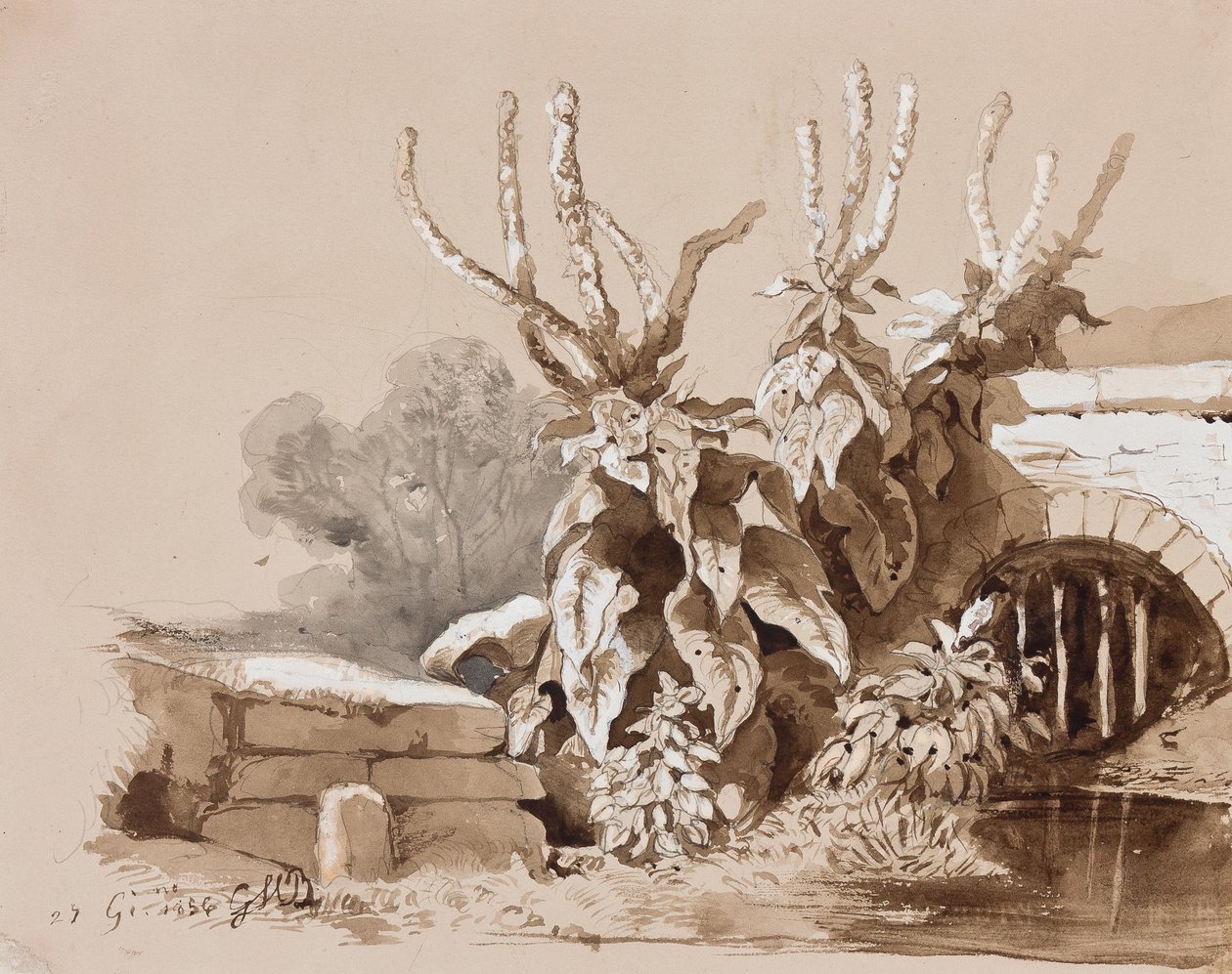 Studium roślin przy rowie, z uzupełnieniami instruktora, 1856 (ołówek, sepia i gwasz na papierze) autorstwa Prince Gaetano Maria Federico di Borbone