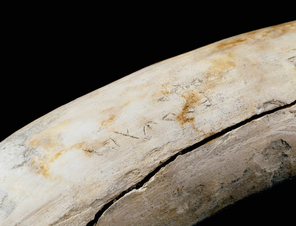 Sztuka punicka (kartagińska): obrona z kości słoniowej z wygrawerowanym napisem. Z Bajo de la Campana (Cartagena) Museo de Cartagena Cartagena Spain autorstwa Punic Punic