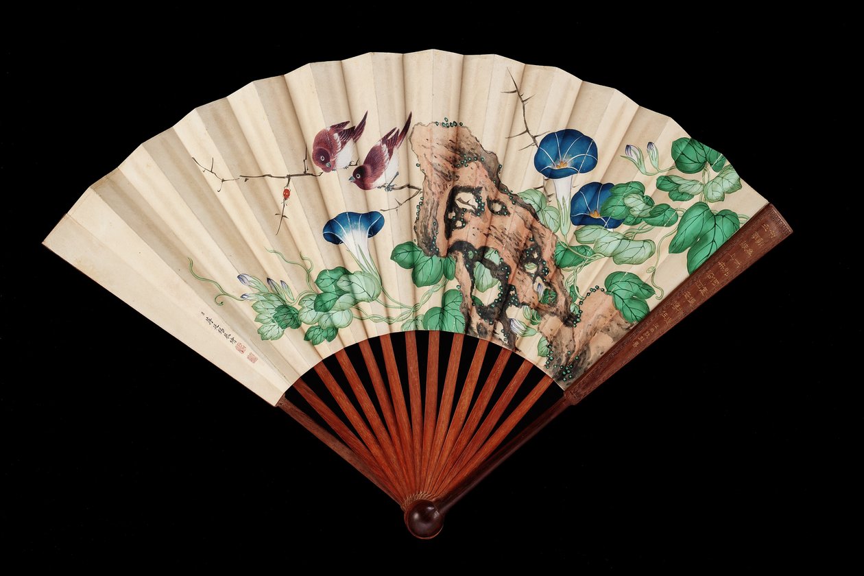 Wachlarz ozdobiony małymi ptaszkami i powojnikami (tusz i kolor na papierze) autorstwa Qing Dynasty Chinese School