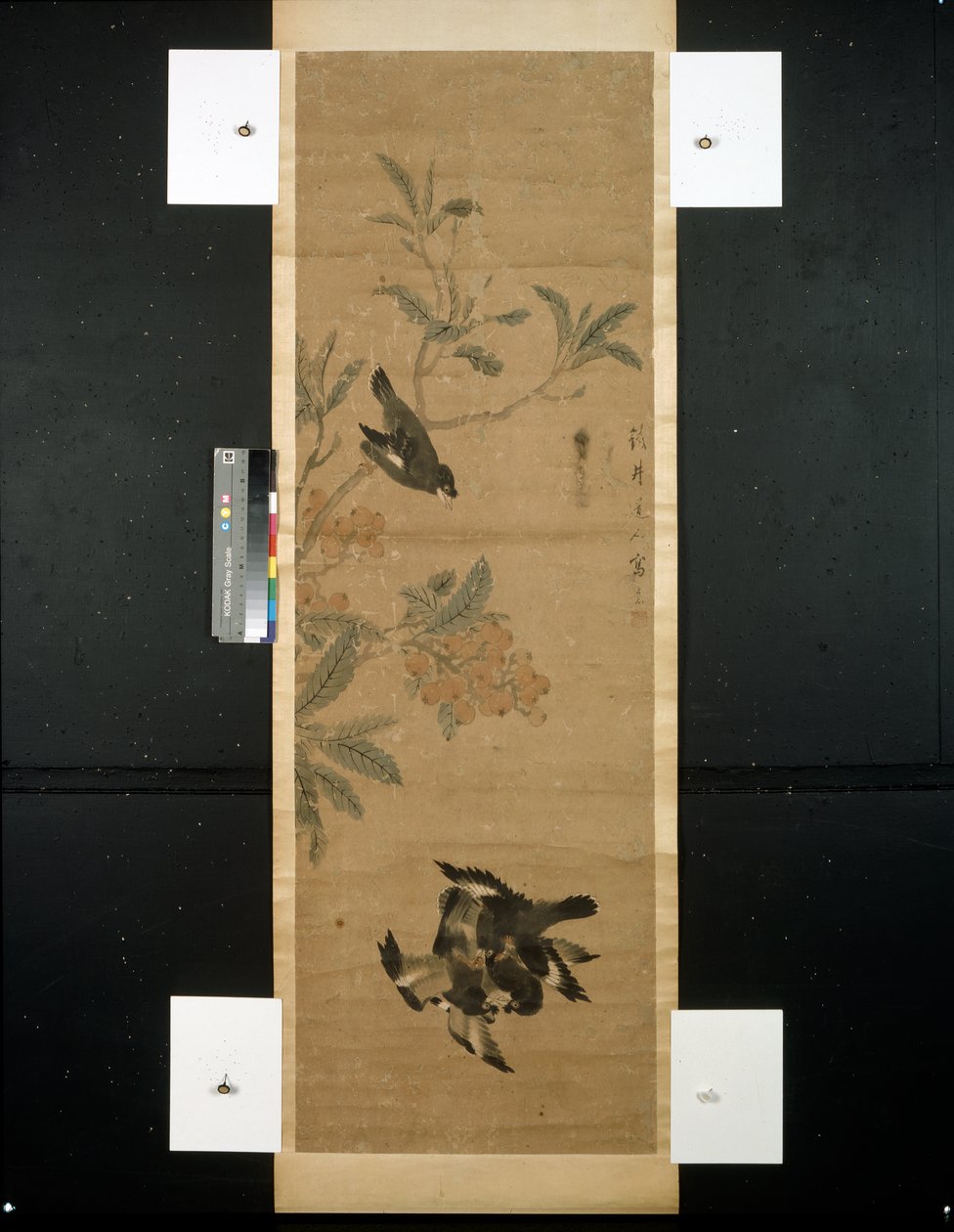 Ptaki i gałąź autorstwa Qing Dynasty Chinese School