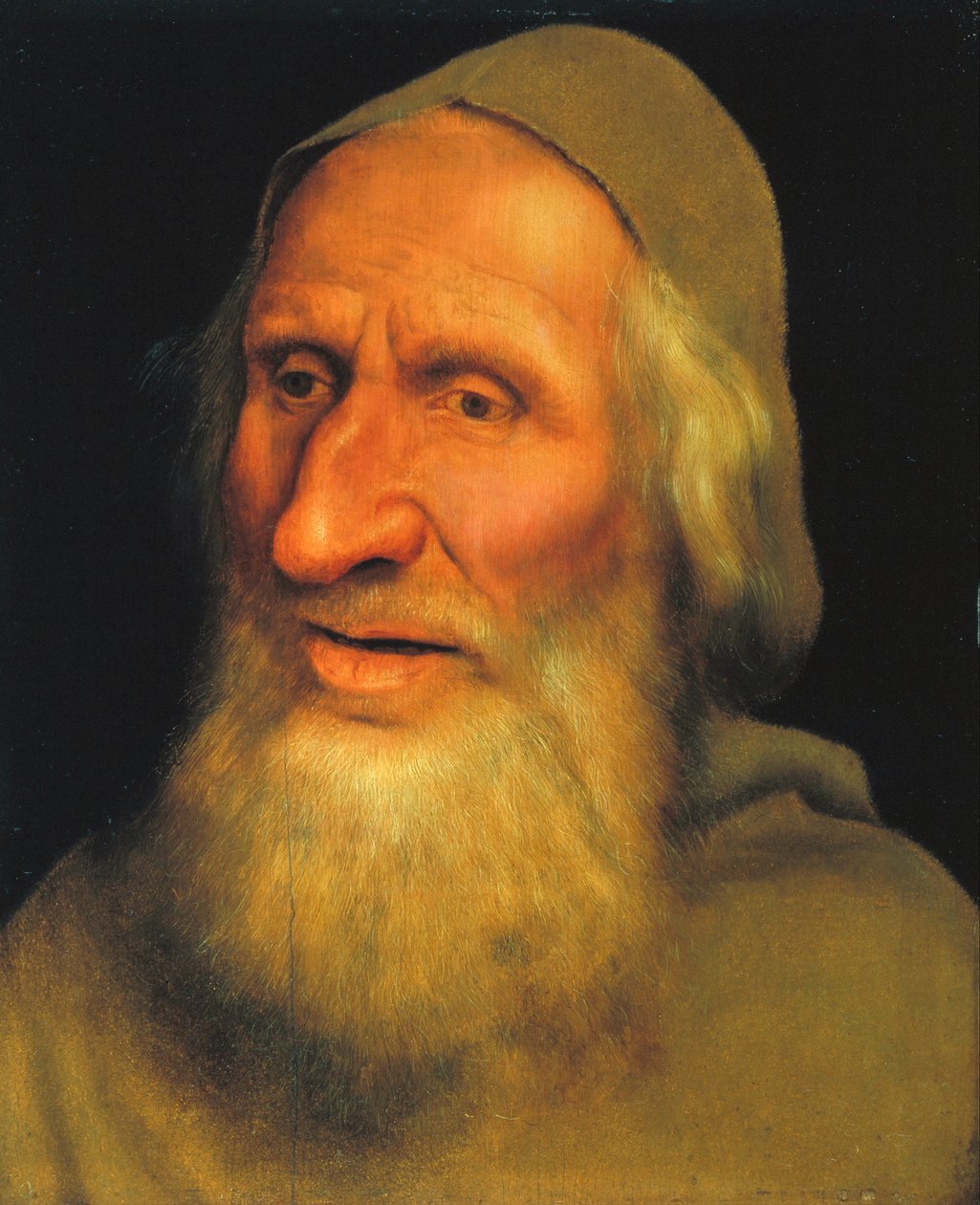 Głowa starego człowieka, ok. 1525 (olej na panelu) autorstwa Quentin Massys or Metsys