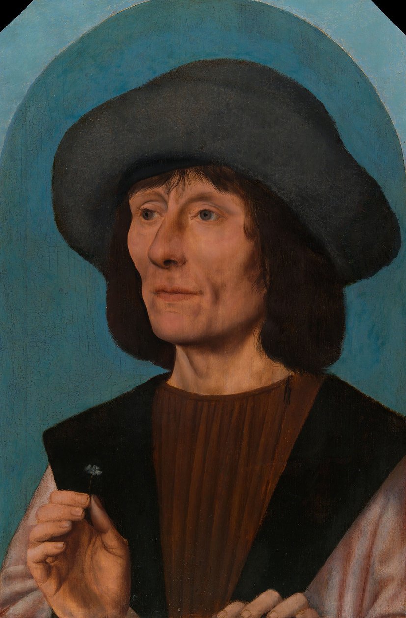 Portret mężczyzny z różem, 1504-14 autorstwa Quentin Massys or Metsys