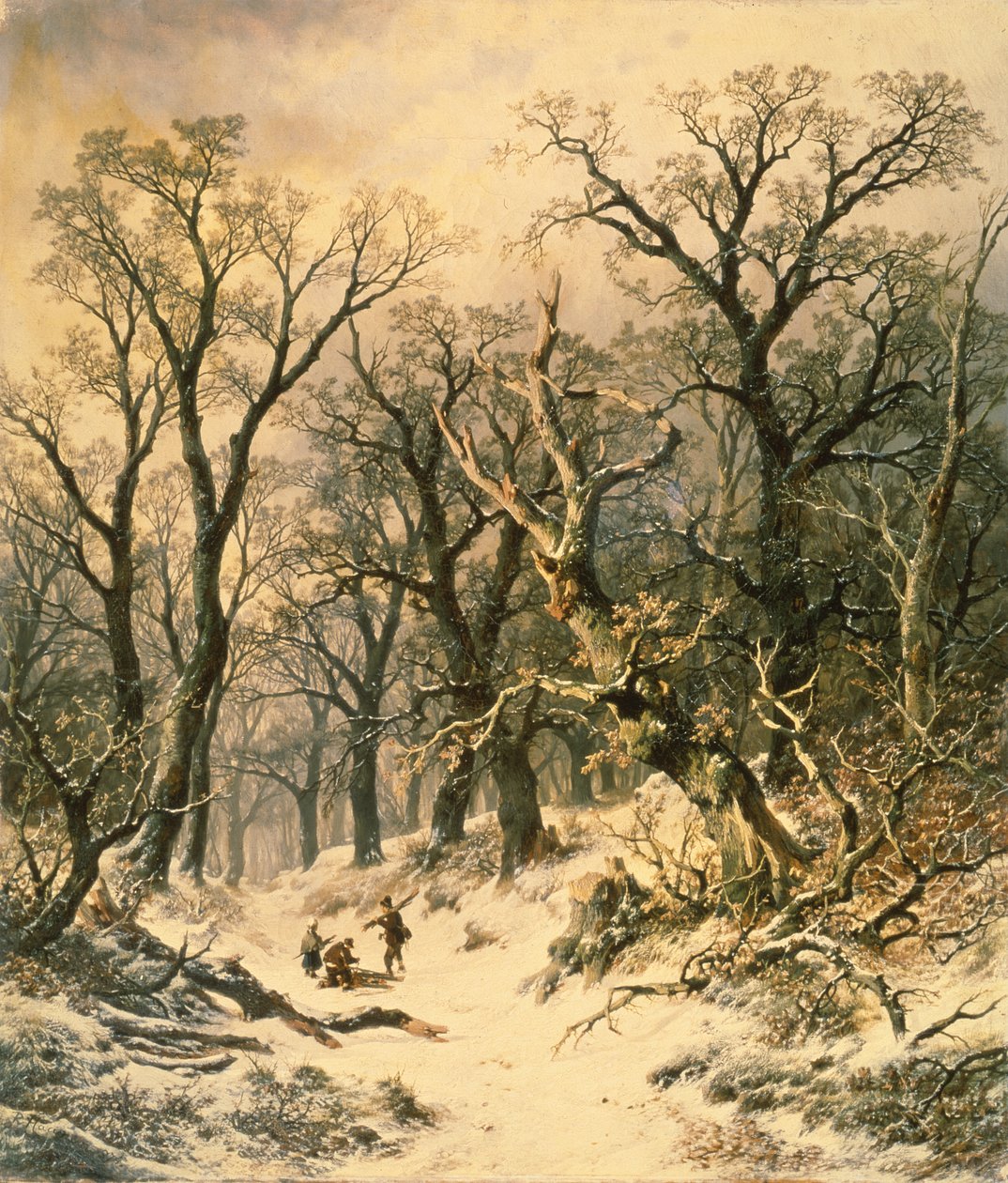 Las autorstwa R. Van Hannen