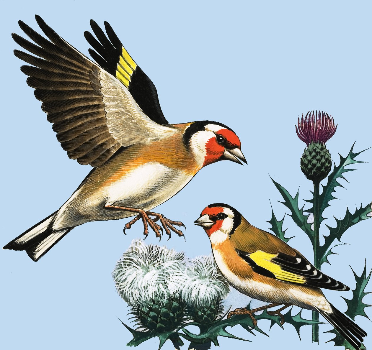 Wieś we wrześniu, ilustracja z "Peeps at Nature autorstwa R.B. Davis