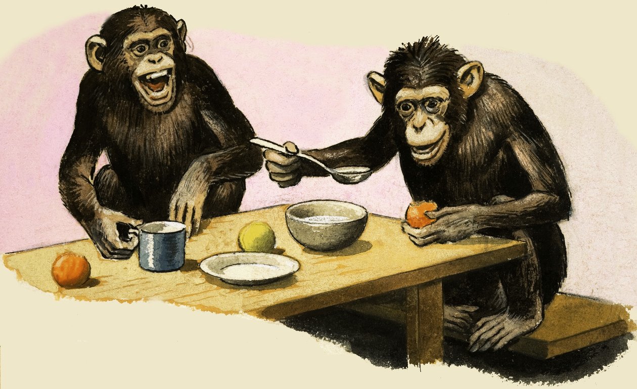 Z jak Zoo. Podwieczorek u szympansa autorstwa R.B. Davis