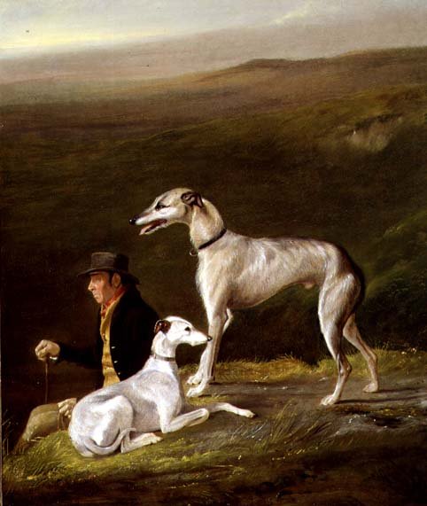 Old Sandy, trener Alexandra Grahama, z dwoma chartami w górskim krajobrazie (olej na płótnie) autorstwa R.G. Brown