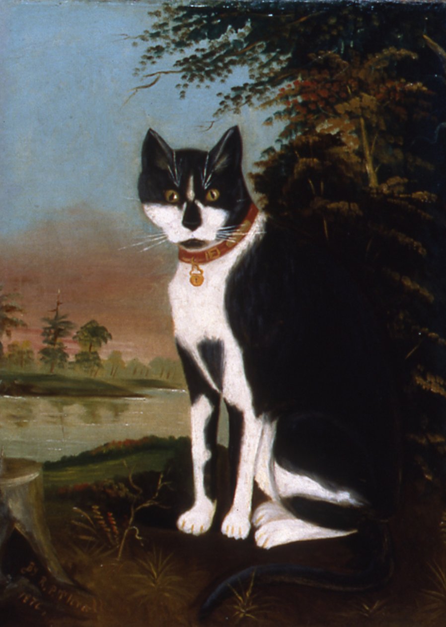 Minnie z przedmieść wsi, 1876 r. autorstwa R.P. Thrall