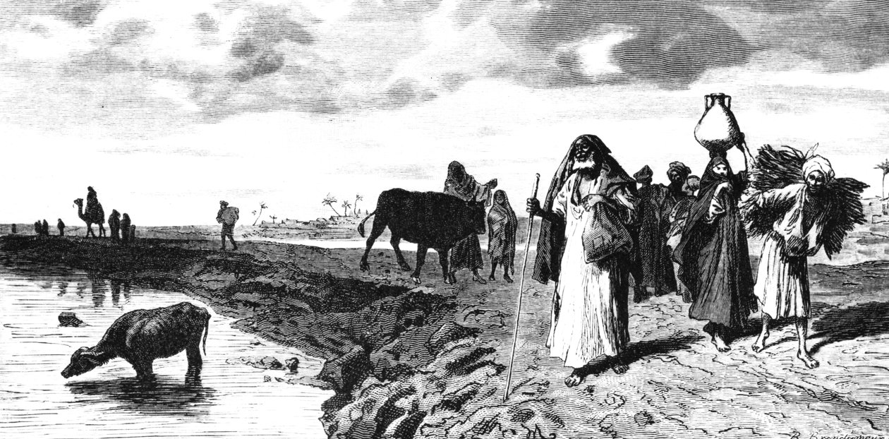 Chaussee w delcie, w czasie powodzi, 1880 autorstwa R. Brandamour