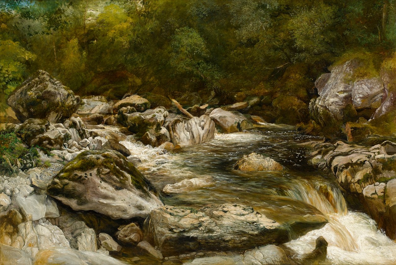 Wodospad na rzece Conwy, Północna Walia autorstwa R. Haddon