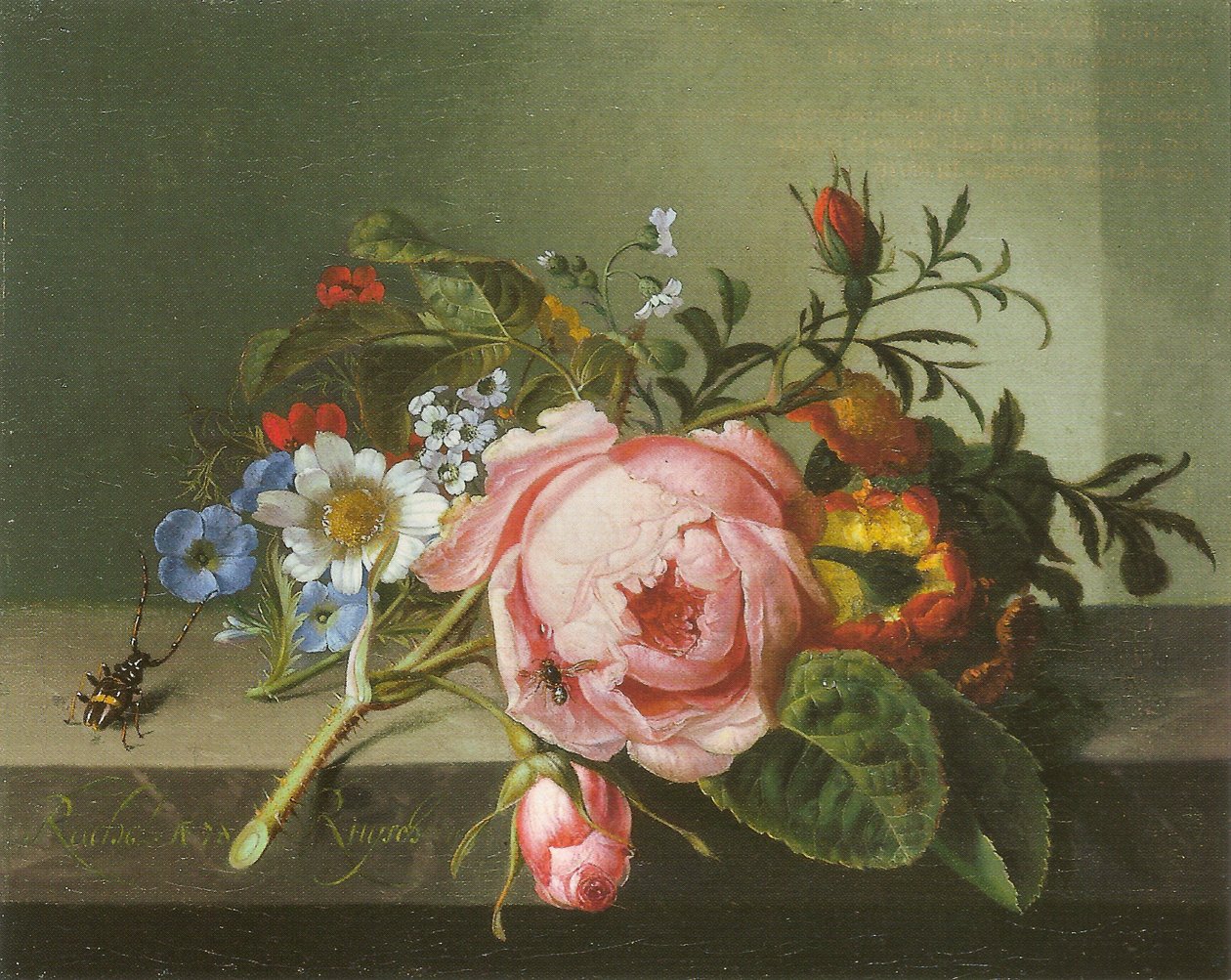 Gałązka róży z chrząszczem i pszczołą autorstwa Rachel Ruysch
