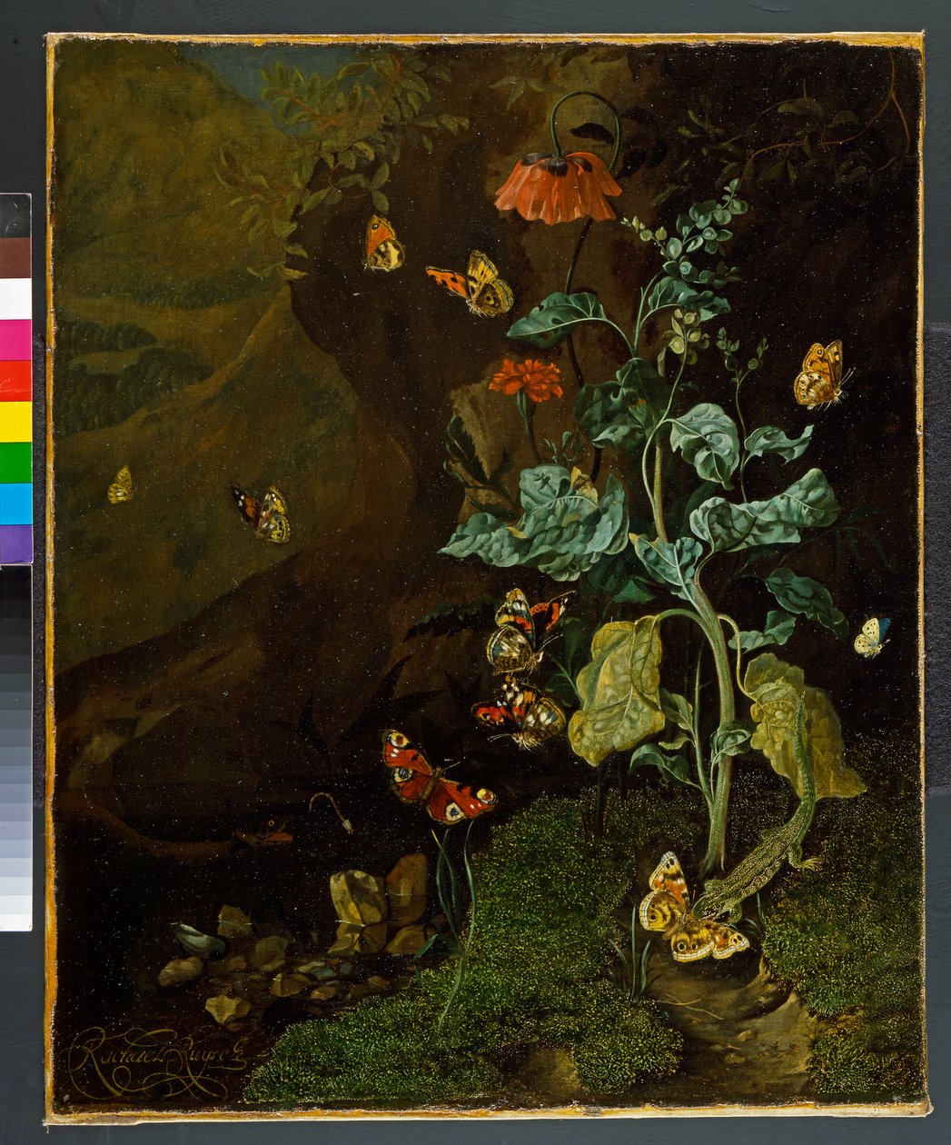 Martwa natura z kwiatami, motylami i jaszczurką w dolinie, przed 1750 autorstwa Rachel Ruysch