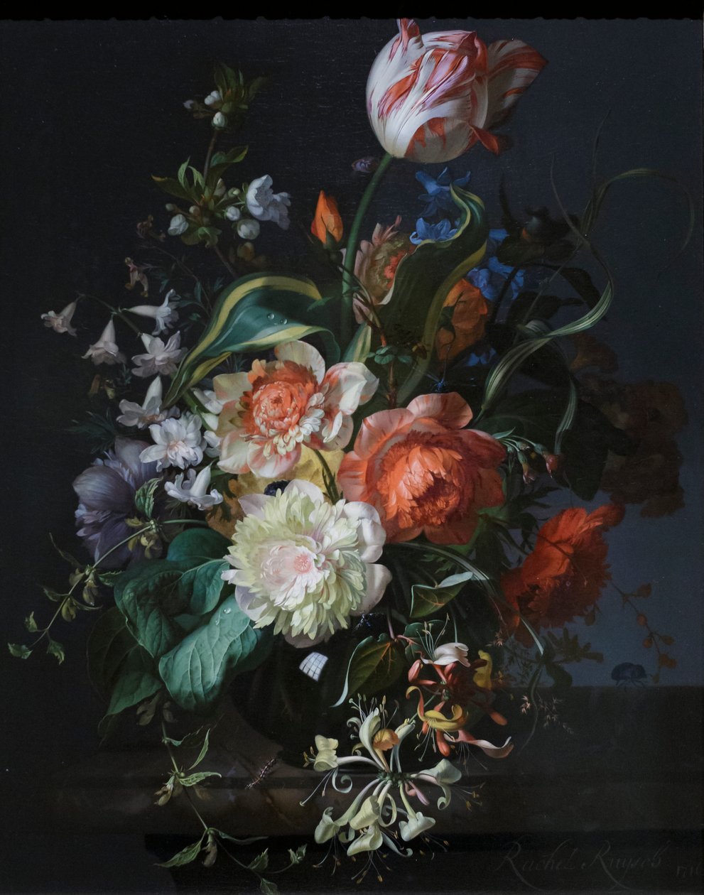 Kwiaty w szklanym wazonie z tulipanem autorstwa Rachel Ruysch