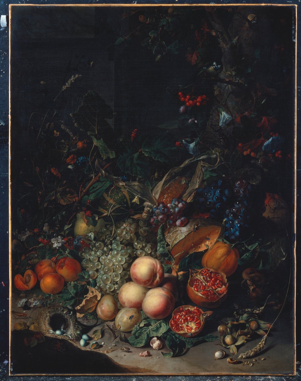Brzoskwinie, winogrona, granaty, melony, kaczan kukurydzy, morele, śliwki, gruszki, żołędzie, 1718 autorstwa Rachel Ruysch