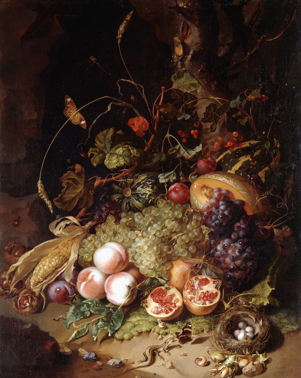Martwa natura z owocami i owadami, autorstwa Rachel Ruysch