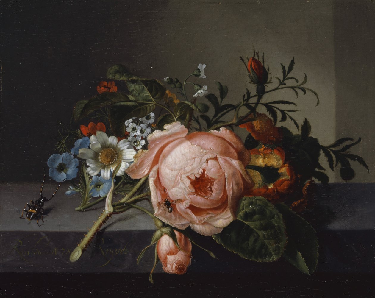 Martwa natura z gałązką róży, chrząszczem i pszczołą, 1741 (olej na płótnie osadzony na dębie) autorstwa Rachel Ruysch