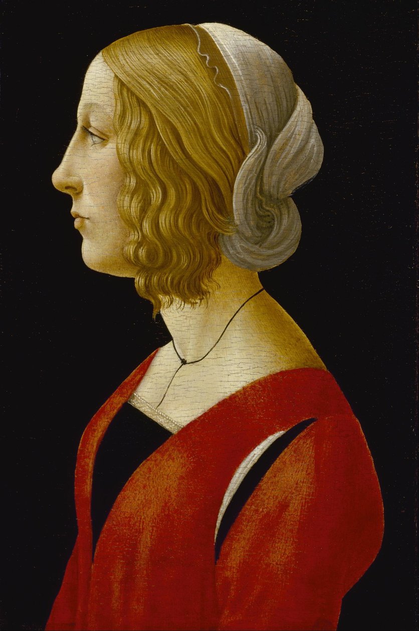 Portret młodej kobiety - Popiersie młodej kobiety autorstwa Raffaellino del Garbo