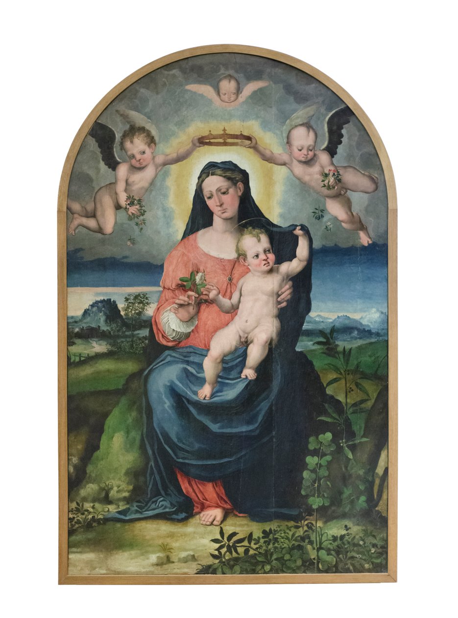 Madonna z Dzieciątkiem, przed 1543 (olej na płycie) autorstwa Raffaellino di Michelangelo (16th century)