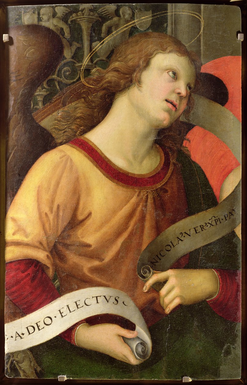 Anioł, z poliptyku św. Mikołaja z Tolentino, 1501 autorstwa Raffaello Sanzio Raphael