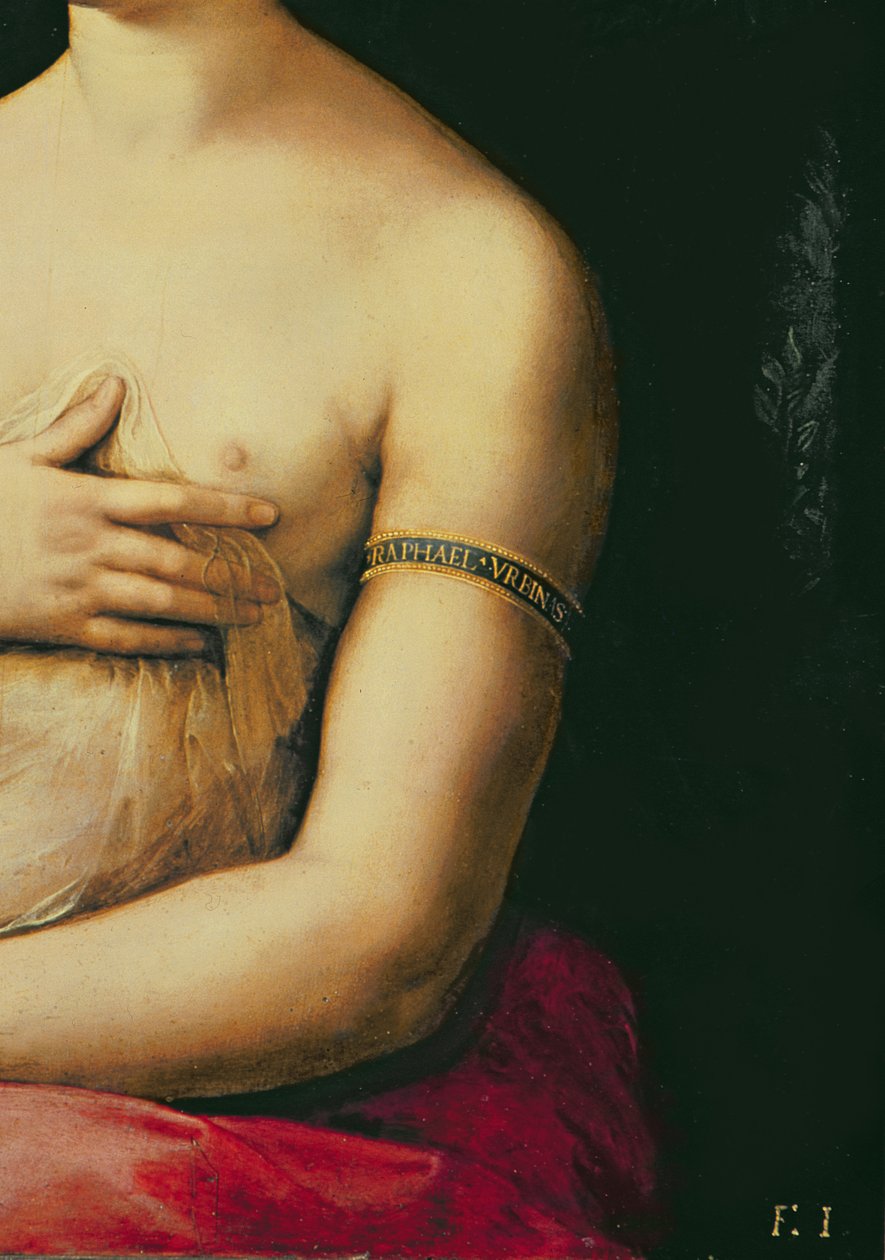 La Fornarina, c.1516 (panel) (detal 68213) autorstwa Raffaello Sanzio Raphael