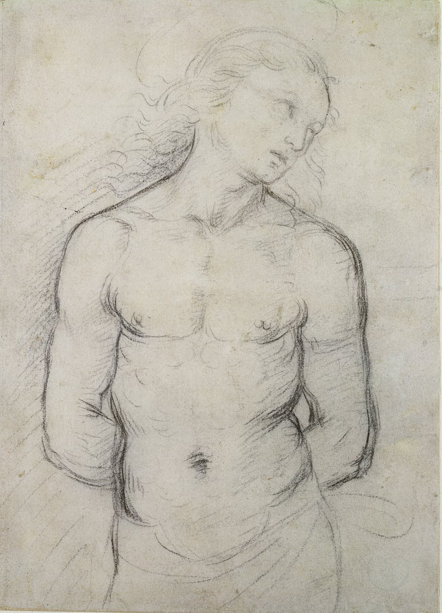 Św. Sebastian, 1499-1500 (czarna kreda na białym papierze) autorstwa Raffaello Sanzio Raphael