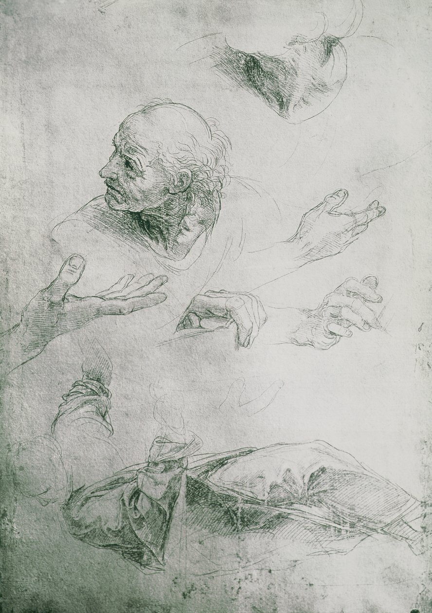 Studia do postaci Bramantego (1444-1515) autorstwa Raffaello Sanzio Raphael