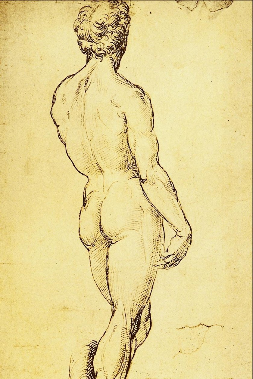 Nagie studium autorstwa Raffaello Sanzio Raphael