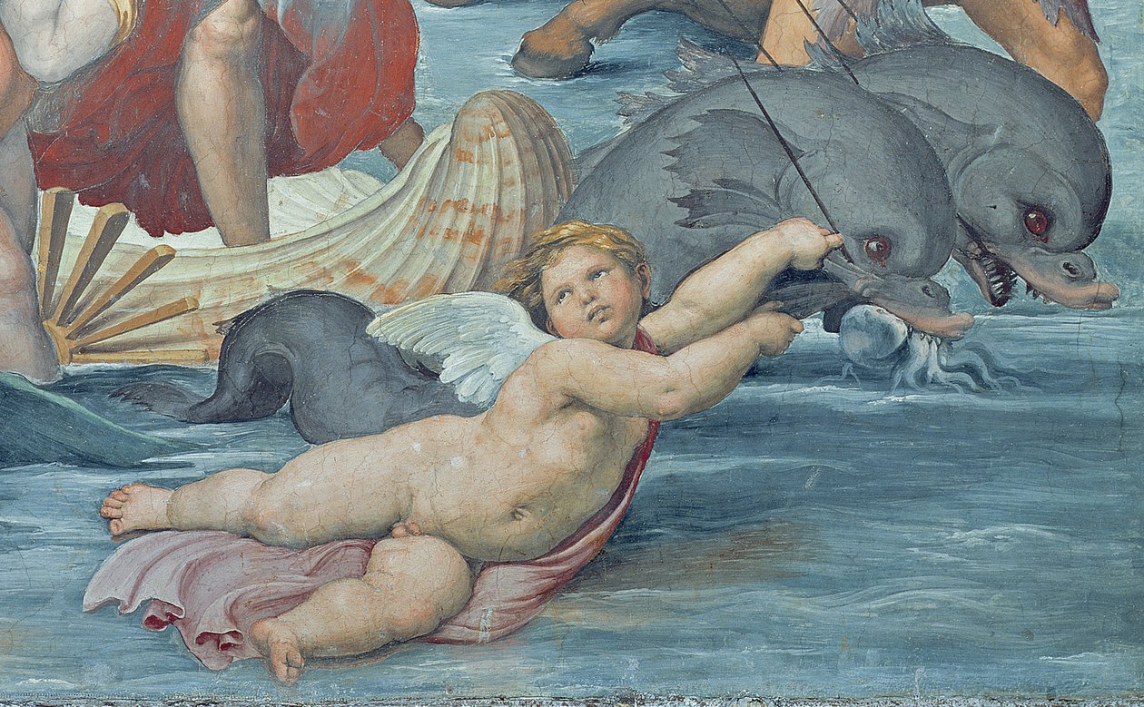 Triumf Galatei, 1512-14 (szczegóły 56473) autorstwa Raffaello Sanzio Raphael