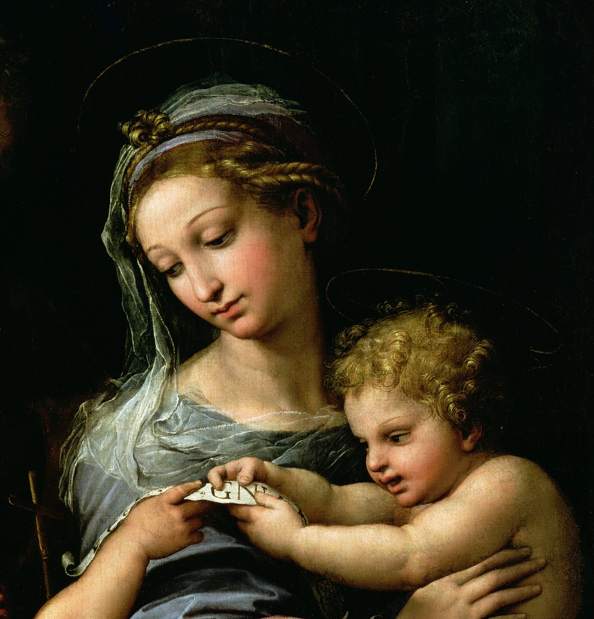 Dziewica Róży, c.1518 (detal 3423) autorstwa Raffaello Sanzio Raphael