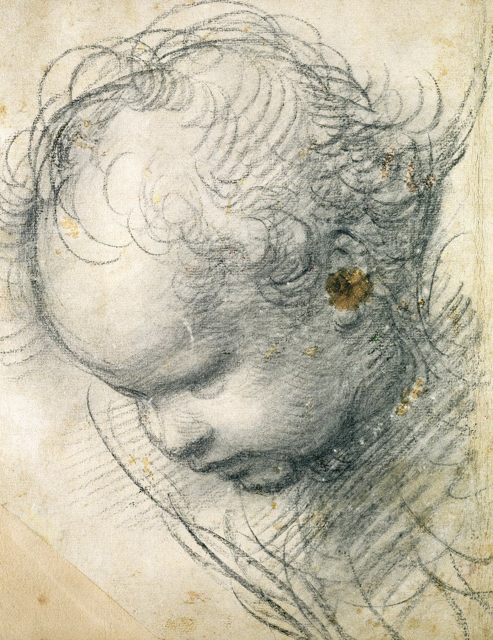 Głowa cheruba (czarna kreda i węgiel na papierze) autorstwa Raffaello Sanzio Raphael