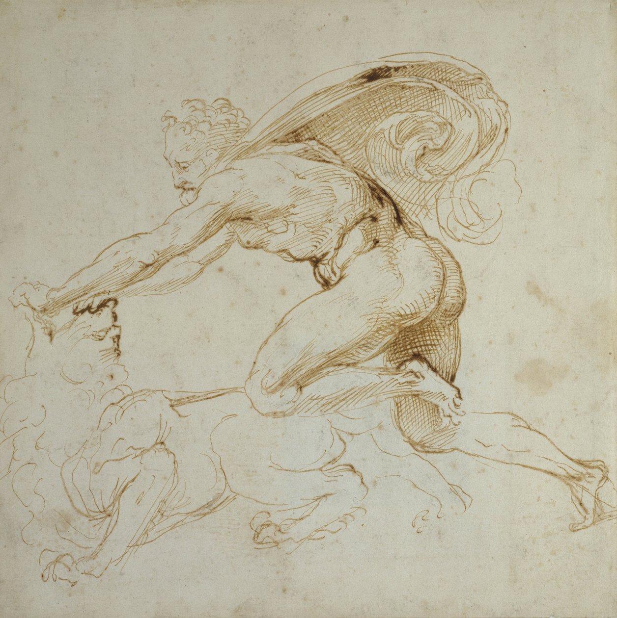Herkules obezwładniający Lwa (pióro i brązowy atrament na białym papierze) autorstwa Raffaello Sanzio Raphael