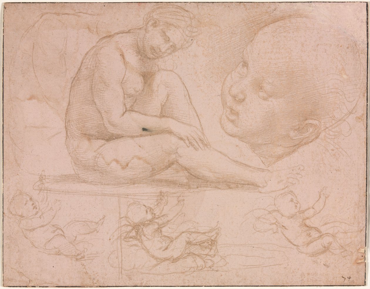 Studia siedzącej samicy, głowa dziecka i trzy studia dziecka, c. 1507-8. autorstwa Raffaello Sanzio Raphael