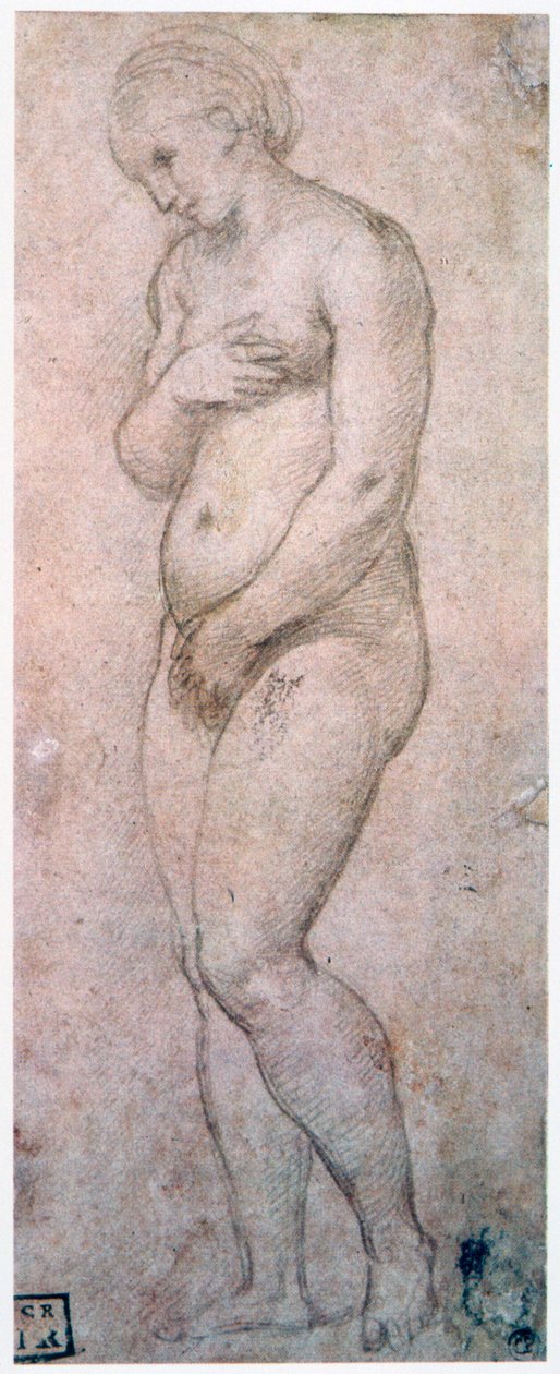 Studium Wenus, ok. 1500-1520 autorstwa Raffaello Sanzio Raphael