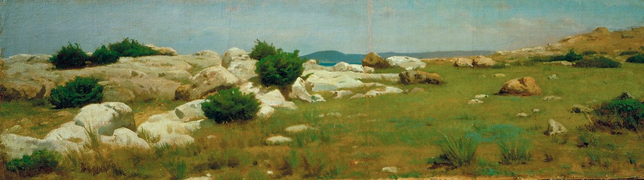 Castiglioncello (olej na płótnie) autorstwa Raffaello Sernesi