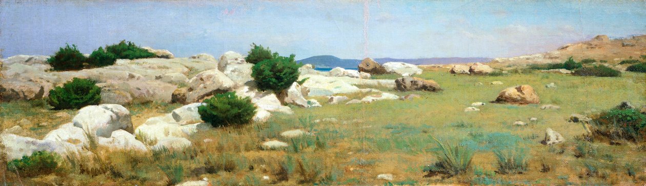 Klif w Castiglioncello (olej na płótnie) autorstwa Raffaello Sernesi