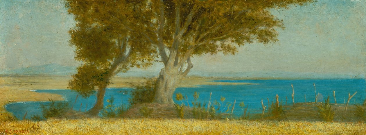Marina di Castiglioncello autorstwa Raffaello Sernesi