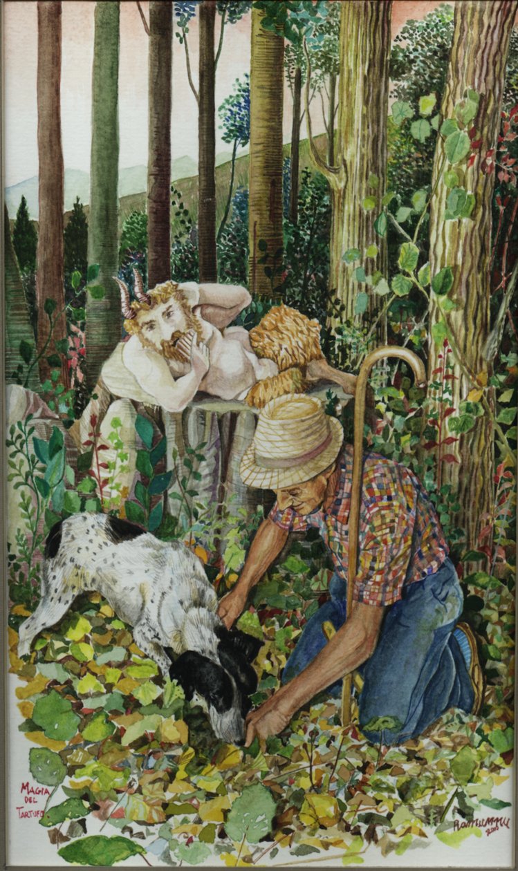 Magia trufli autorstwa Raimondo Gambino