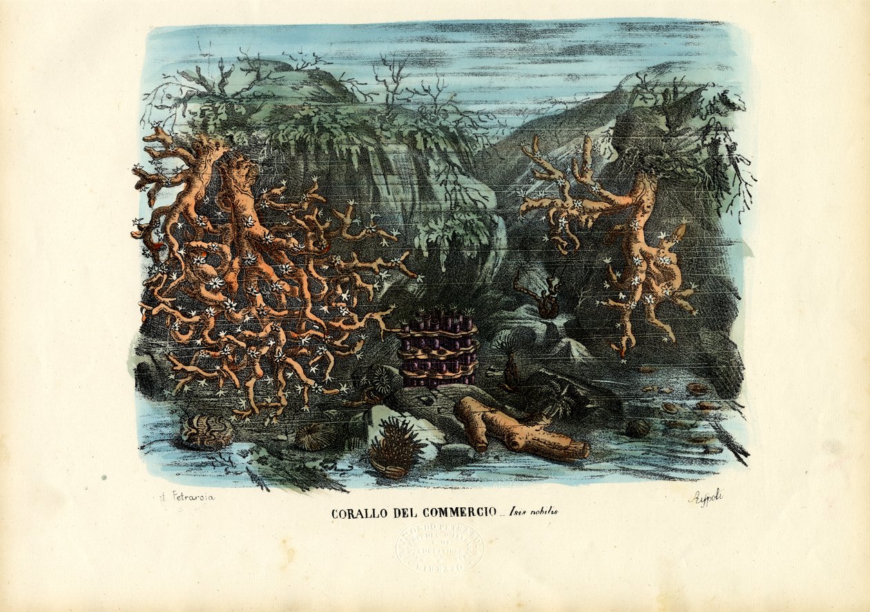 Korale, 1863-79 autorstwa Raimundo Petraroja