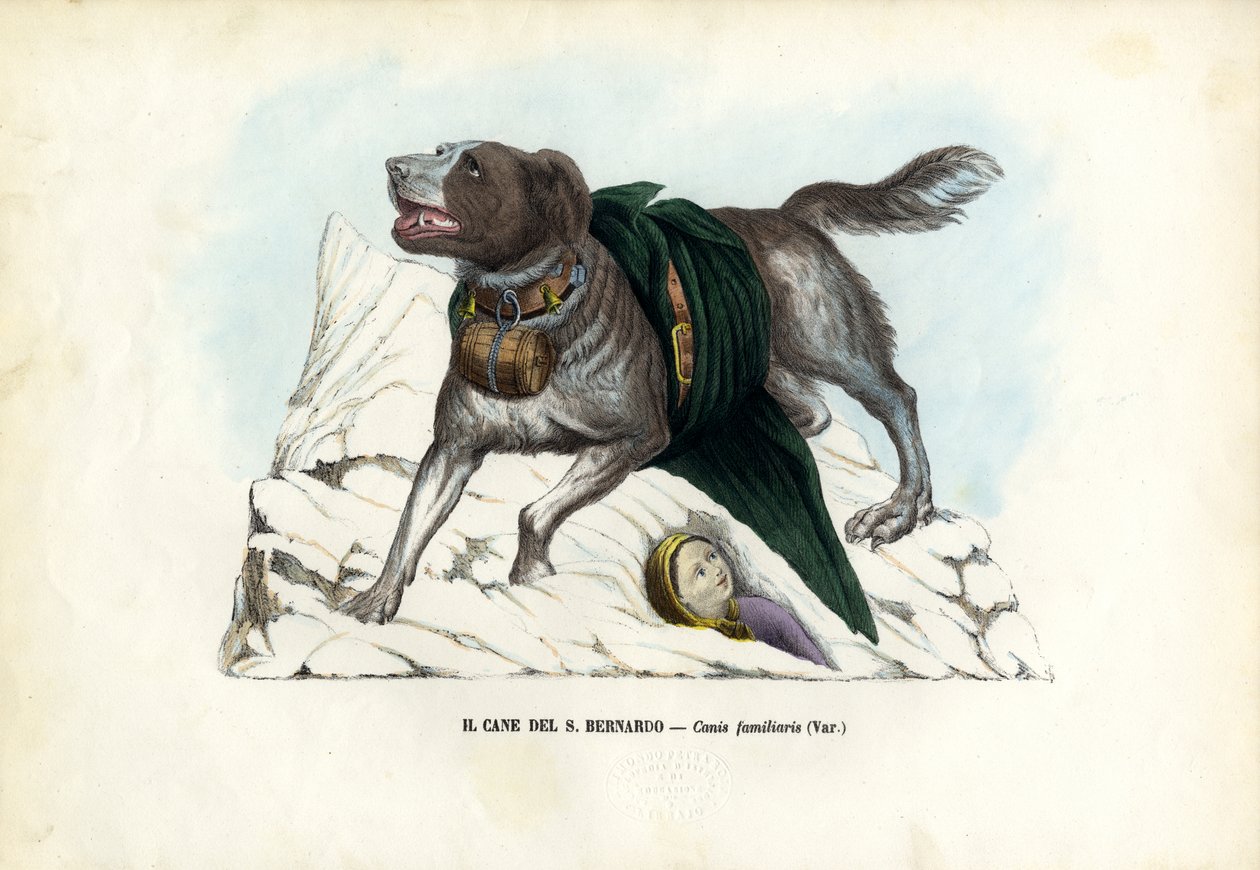 Psy, 1863-79 autorstwa Raimundo Petraroja
